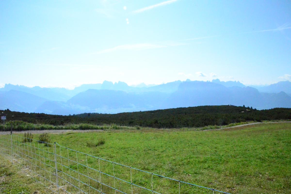 Latschenoelbrennerei und Platzer Alm 09.08.2021